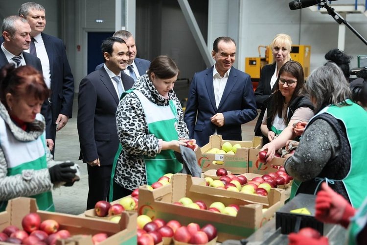    Яблочное изобилие краснодарского Сада Гиганта оценил губернатор