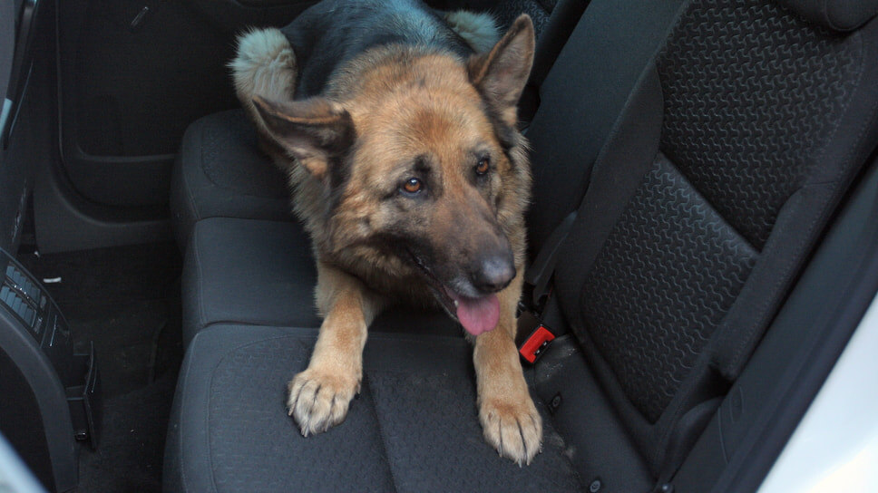 Фото: Иван Буранов / Коммерсантъ