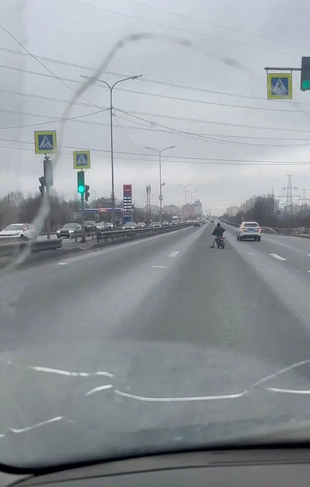    Фото: кадр видео из соцсетей