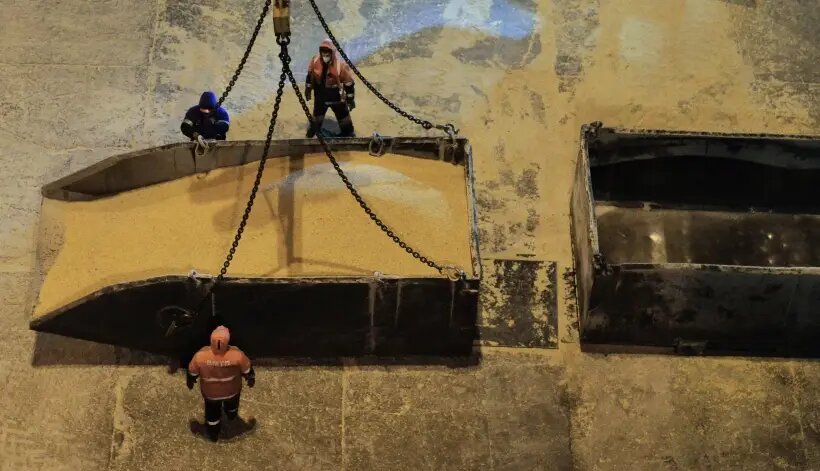  США будут способствовать восстановлению доступа российского экспорта сельхозпродукции и удобрений на мировой рынок   © РИА Новости. Виталий Аньков