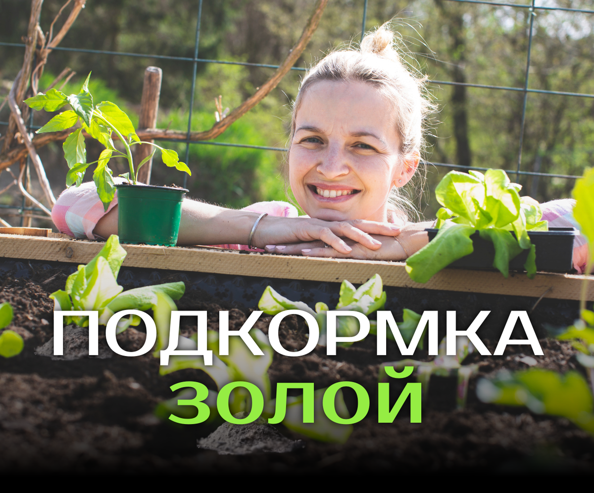 Что нельзя посыпать золой