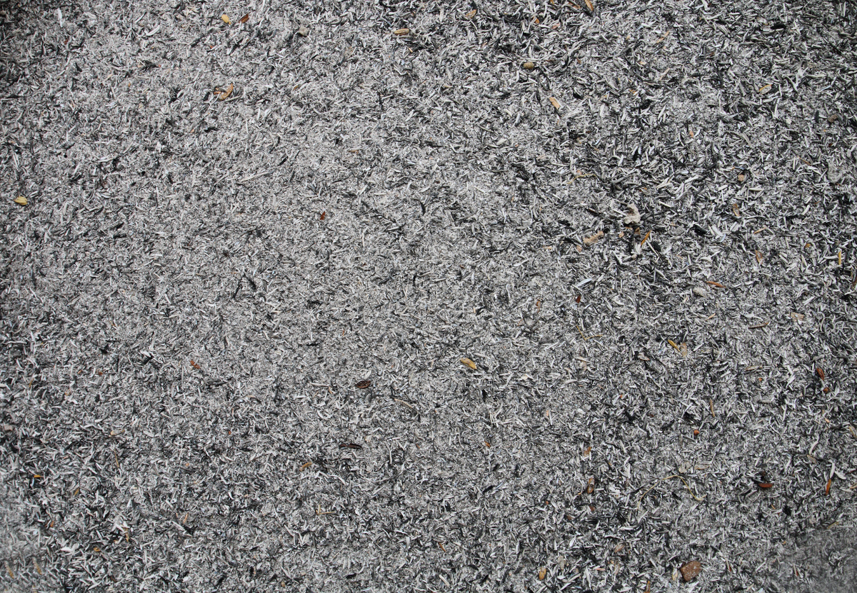 Зола: польза или вред