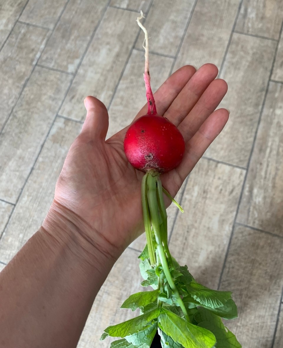 А потом вот такие переростки