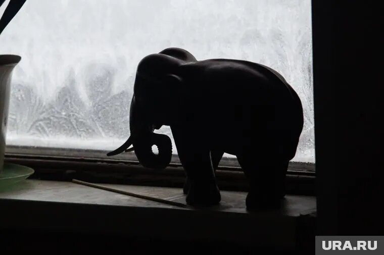 Слона ждут в труппе родного театра (архивное фото). Фото: Алексей Андронов © URA.RU