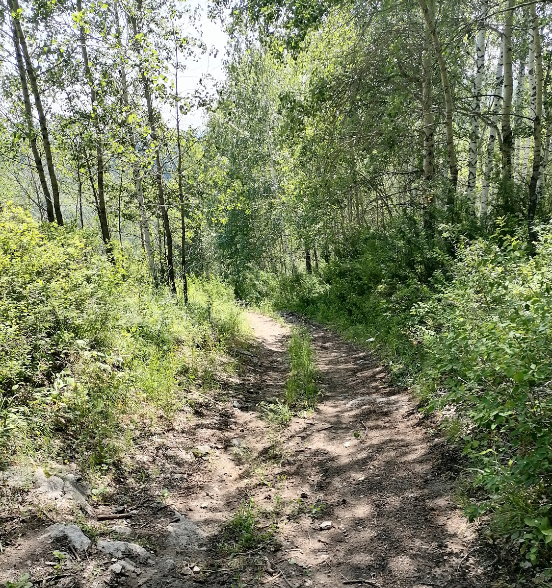 Ждёт меня дорога дальняя. Не такая, конечно, живописная...