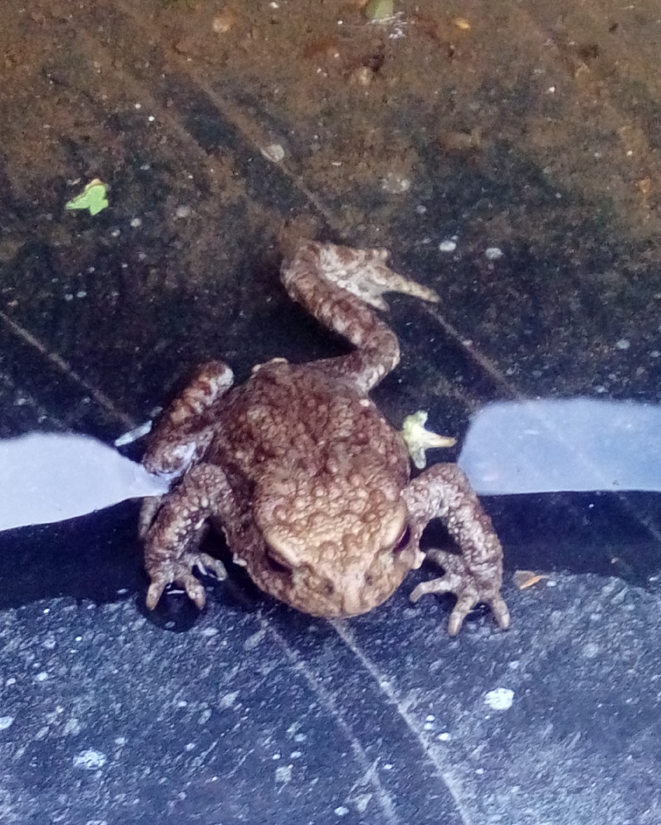 Ощущала себя в конце дня совсем не царевной.