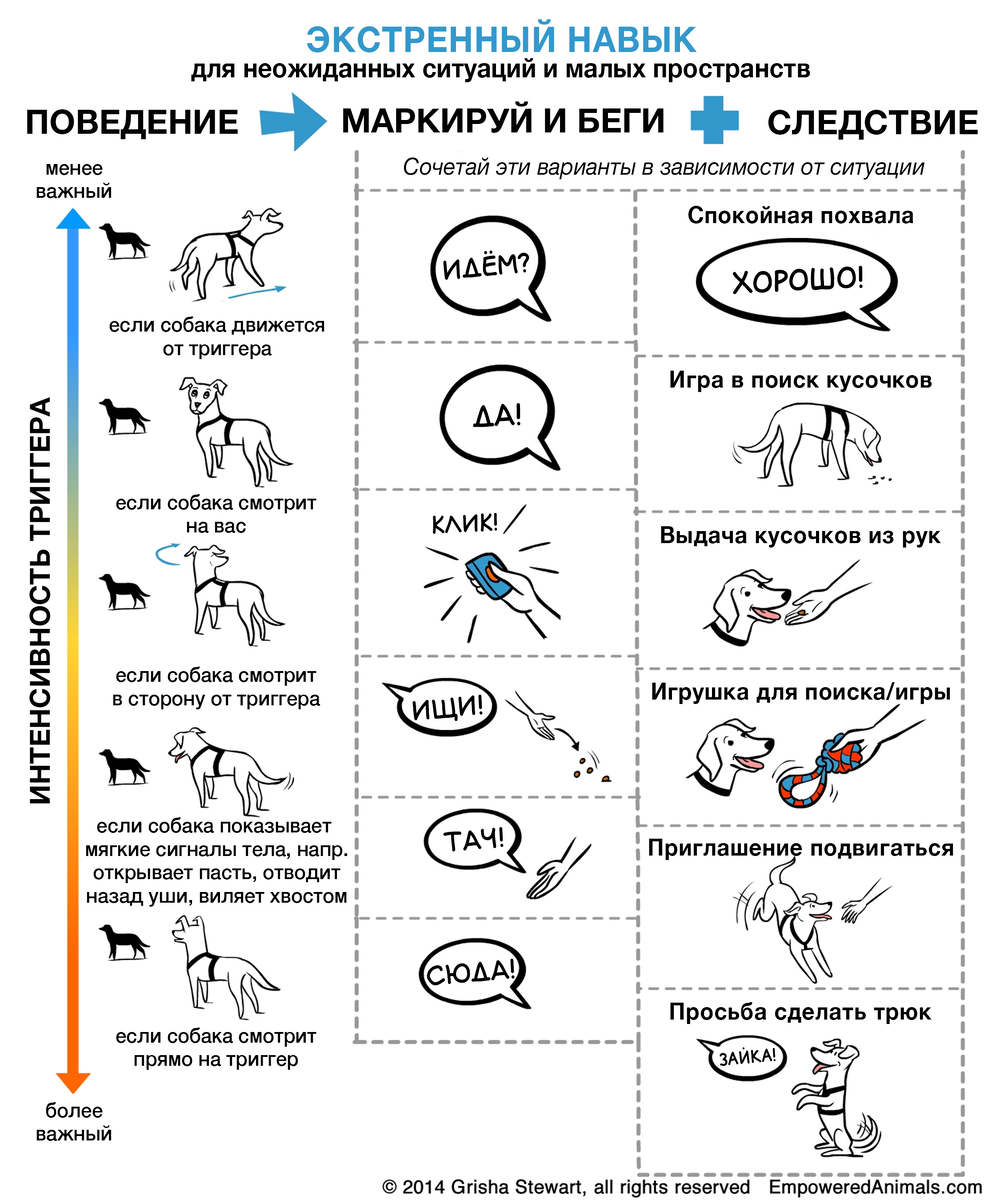 Перевела для вас схему, чтобы было нагляднее.