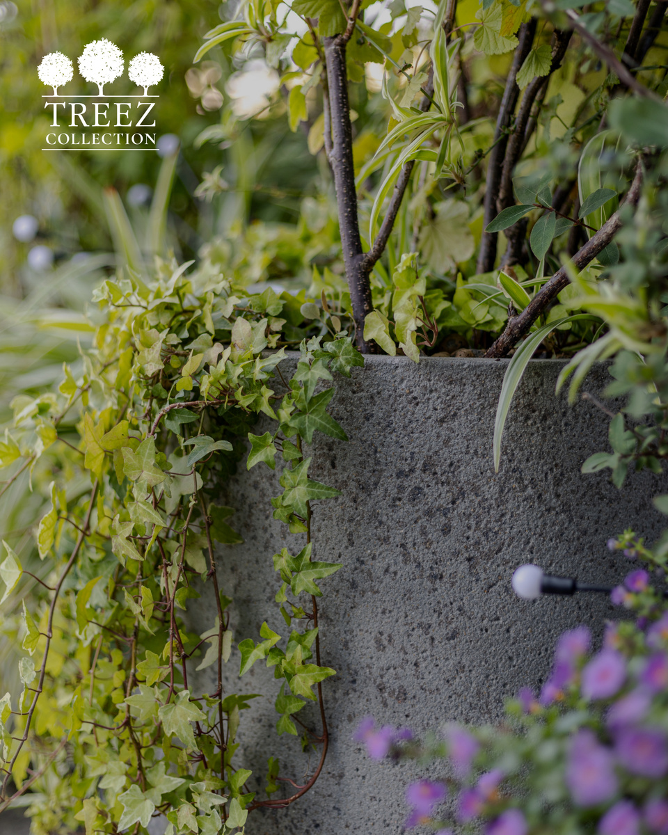 Кашпо Treez Collection