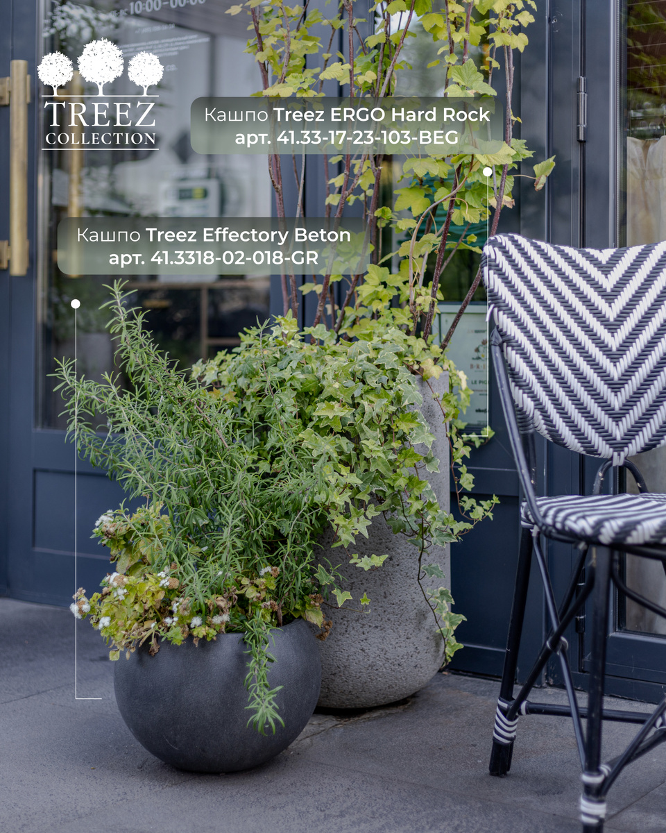 Кашпо Treez Collection