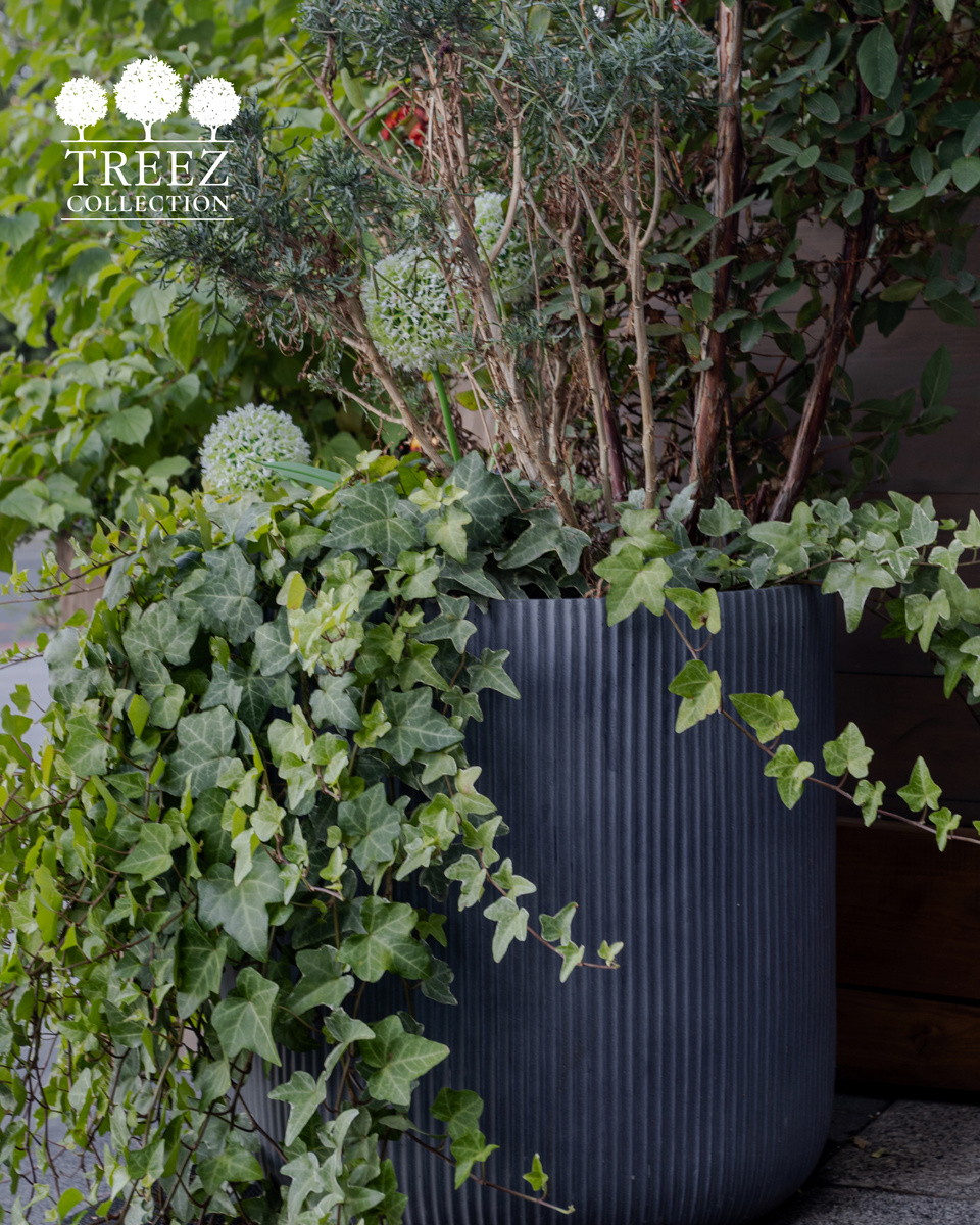 Кашпо Treez Collection