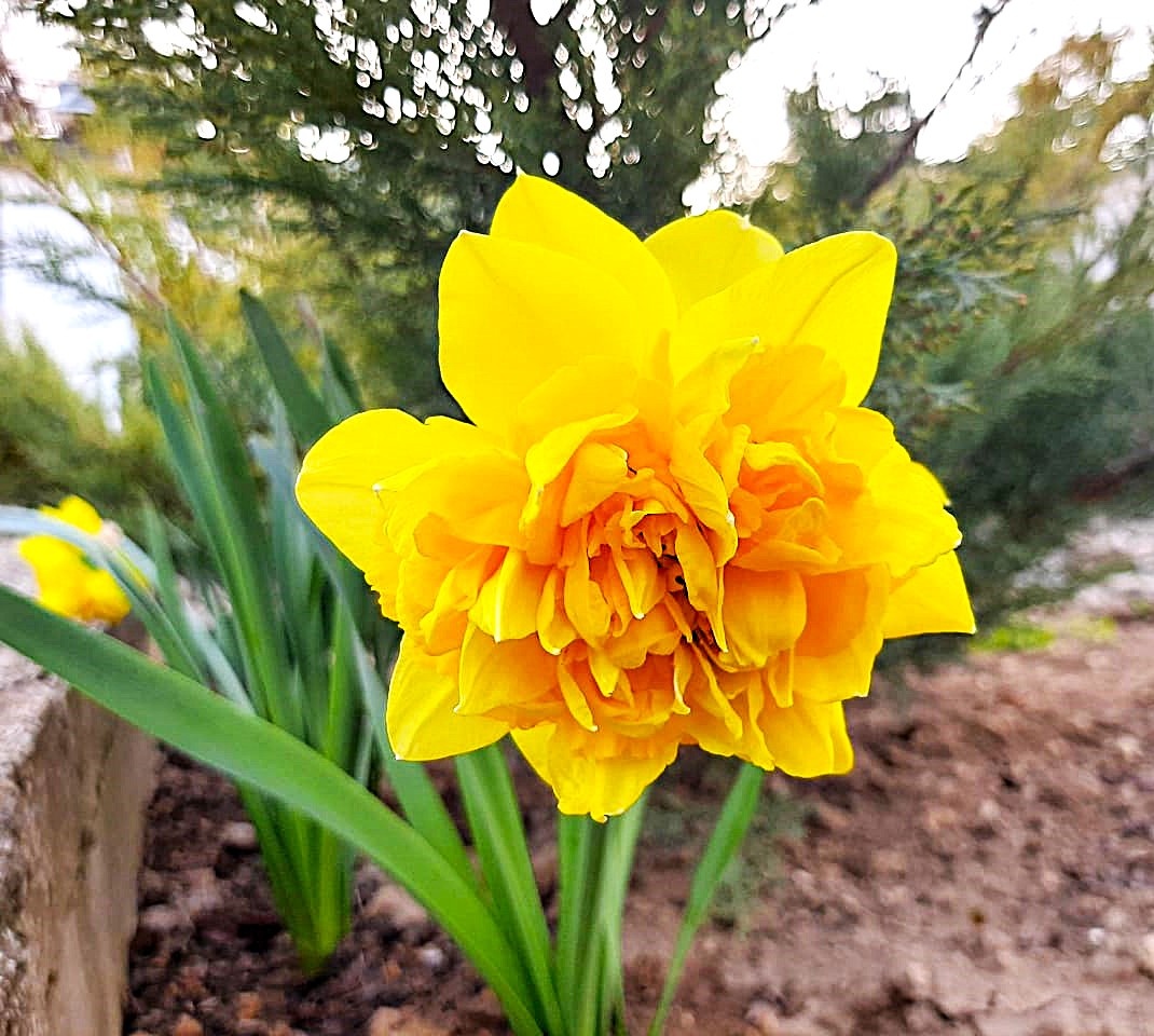 Весна идет! Фото из личного архива.