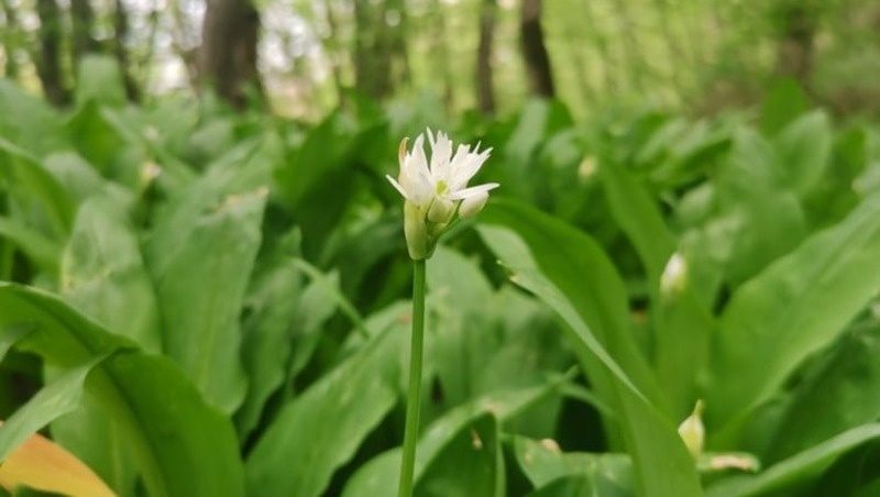      Фото: Минприроды СК