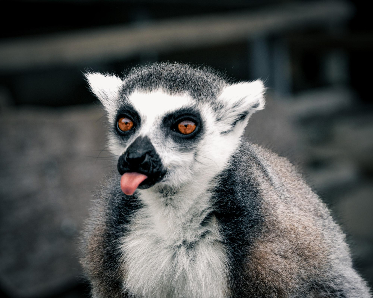 Фото: freepik.com  📷
