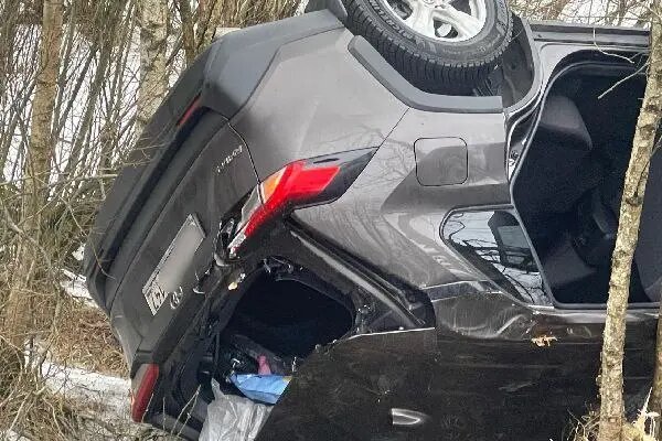    Фото: пресс-служба ГУ Росгвардии по Петербургу и Ленобласти