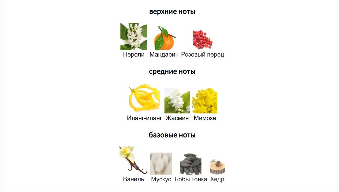 fragrantica.ru
