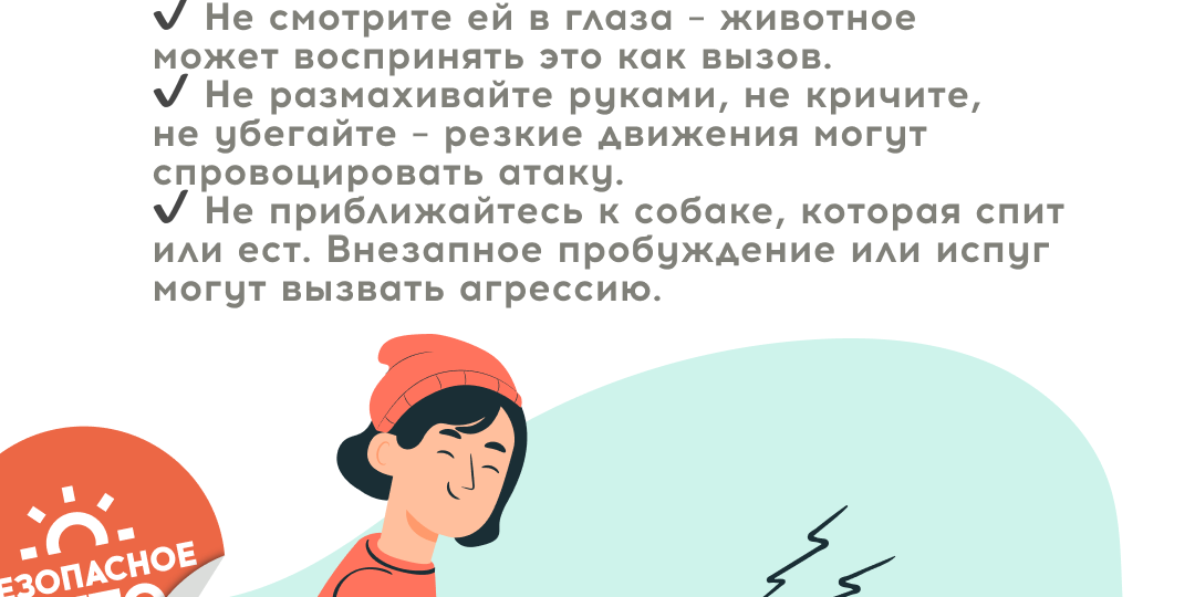 Чтобы бродячая собака не укусила...