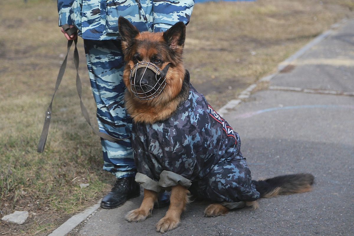 Фото: ЛЕНЦ Мария