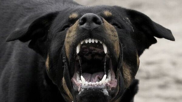    © Фото: ru.fotolia.com