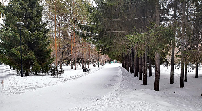    Фото из архива "Континента Сибирь"