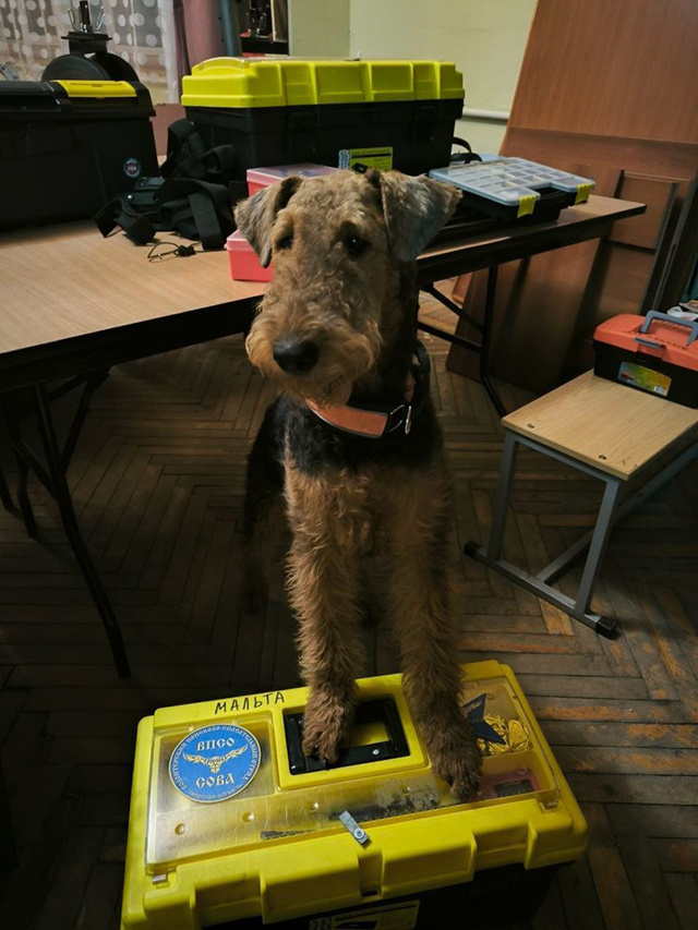 Под Тверью ищут 13-летнюю Виолетту. Стать участником поиска может каждый