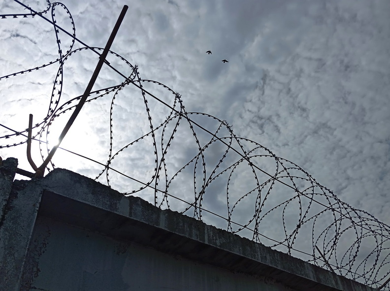 Фото:
Алексей Лохвицкий / ForPost