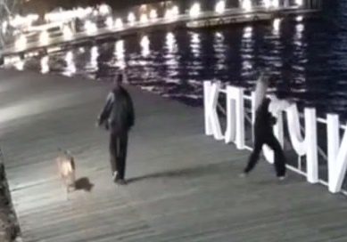     Видео: парк Дельфин