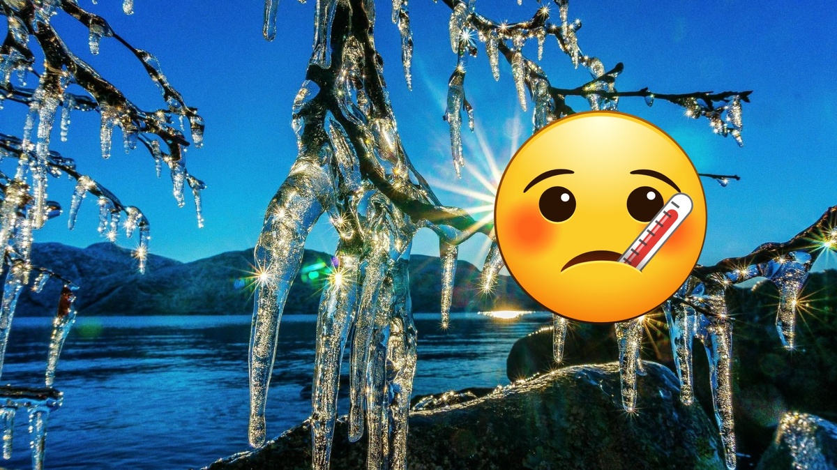 Фото из интернета