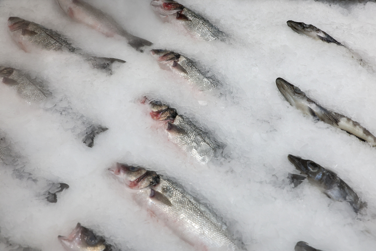 Фото: © Shatokhina Natalia/ news.ru/ Global Look Press