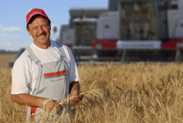 Яндекс Картинки.