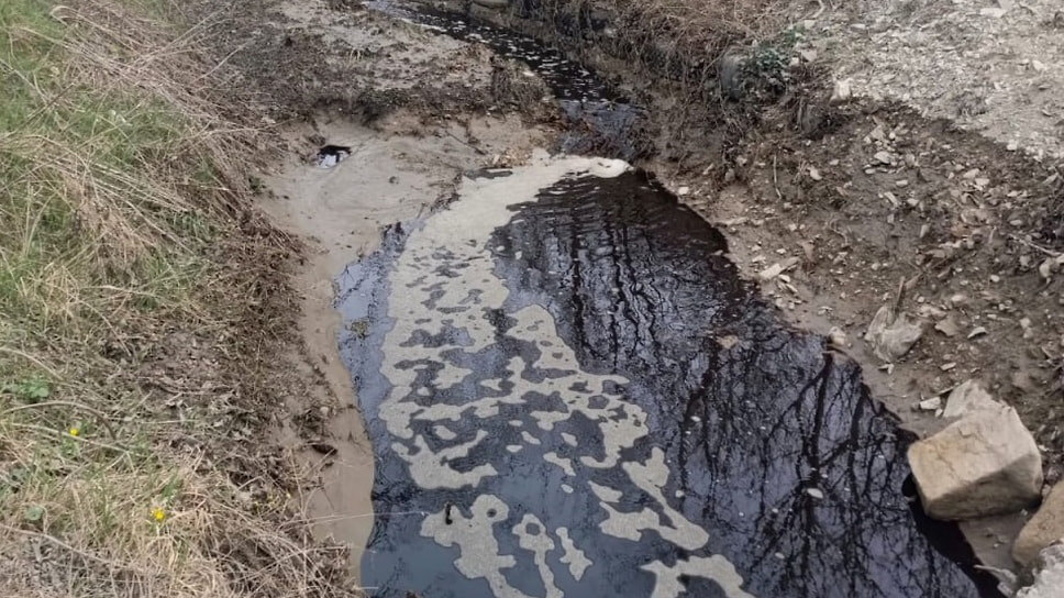 Фото: пресс-служба администрации Новороссийска