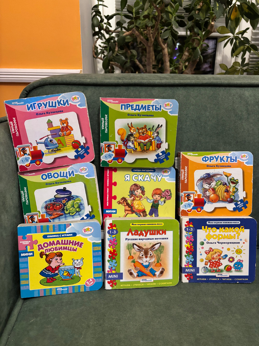 Еще несколько книг раскиданы по квартире, потому что активно используются.