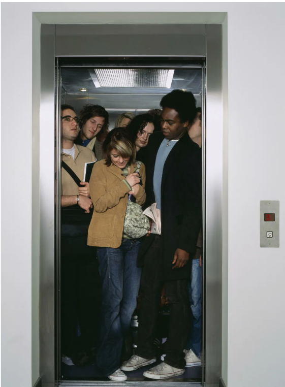 Вот только "собачки" здесь и не хватает!