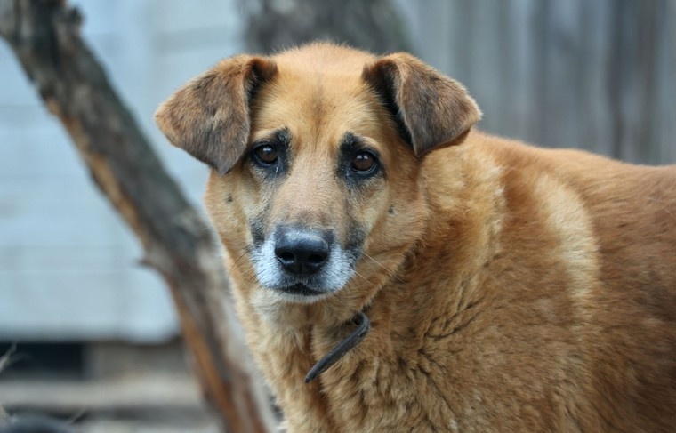    Сергей Петров/NEWS.ru