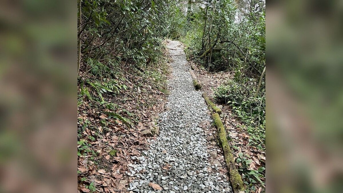    Фото: t.me/kavkazzapoved