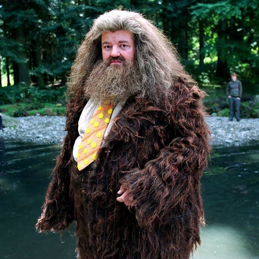    Ник Фрост может исполнить роль Рубеуса Хагрида в сериале HBO (фото 2)