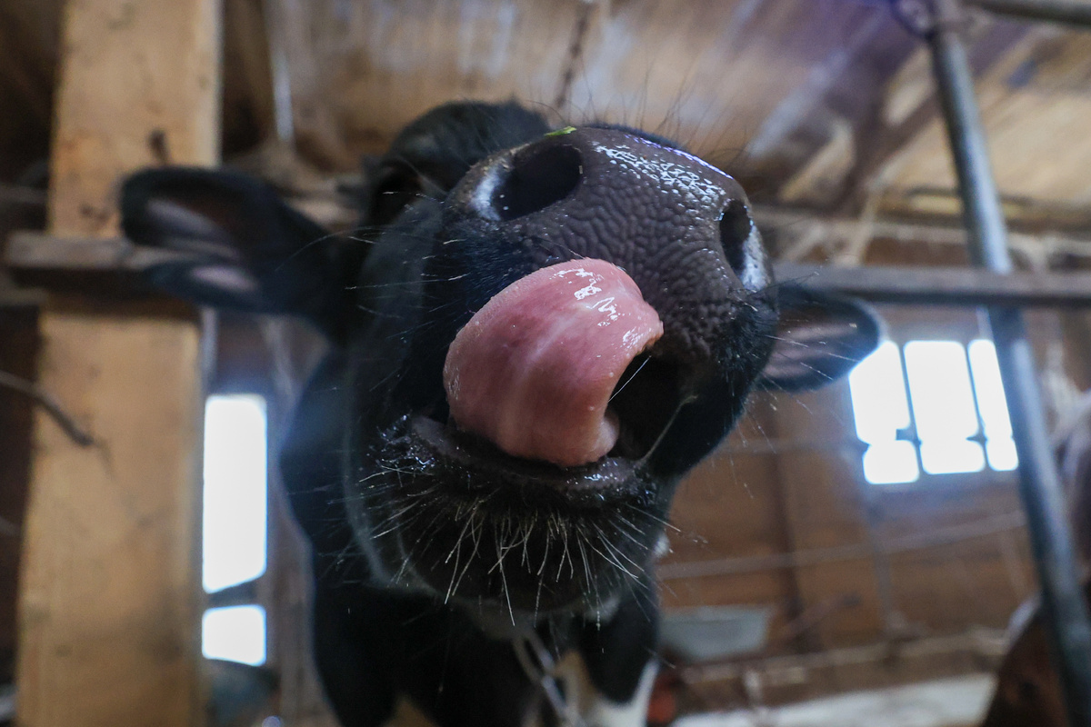 Фото: © Shatokhina Natalia/ news.ru/ Global Look Press