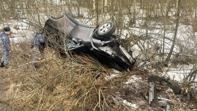 Фото: ГУ Росгвардии по Петербургу и Ленобласти