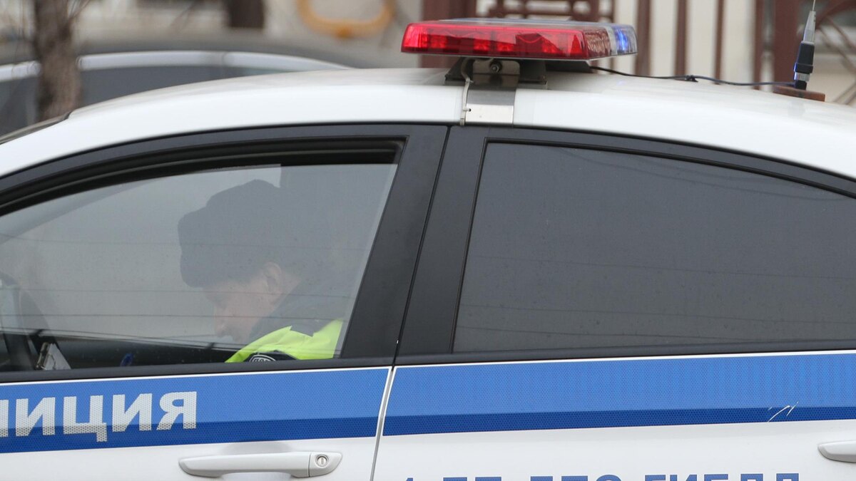    Фото: Pogiba Alexandra/globallookpress.com