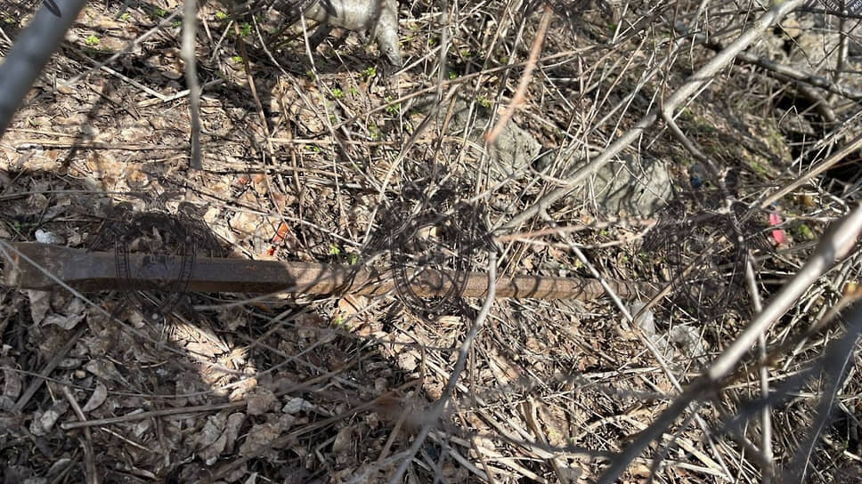 Фото: СУ СК по Ростовской области