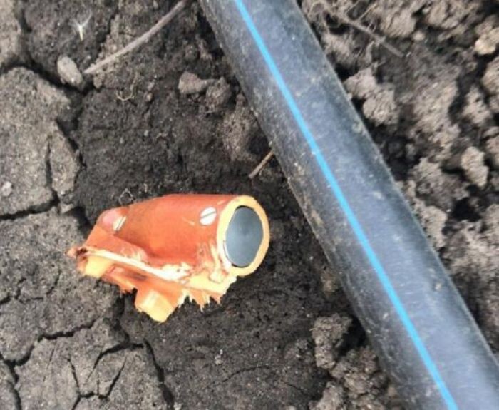 Источник фото: Администрация Аксайского района