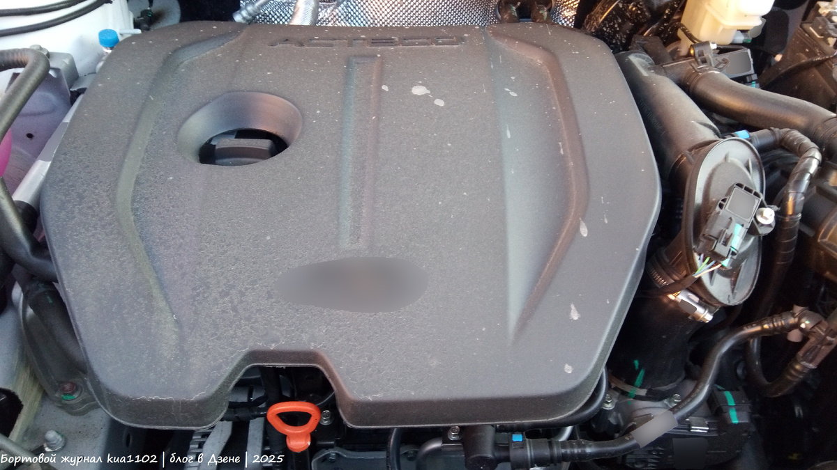 Вот так выглядит подкапотное пространства спустя два месяца эксплуатации автомобиля преимущественно при отрицательных температурах, слякотных дней было не очень много. Автор фотографии kua1102