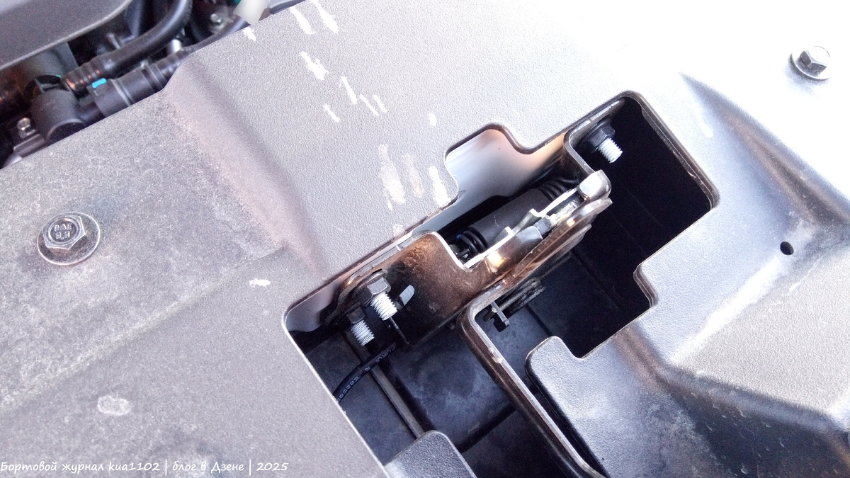 Ничего специально не обляпывал, показываю как есть. Автор фотографии kua1102