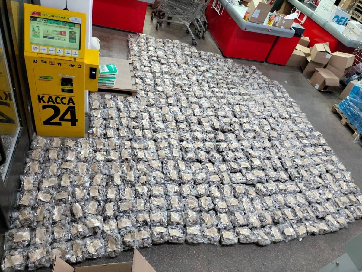 Это кусочек от плесневелой партии 