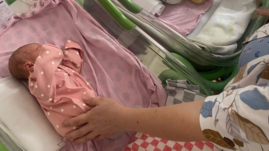    Автор фото: t.me/komzdravspb