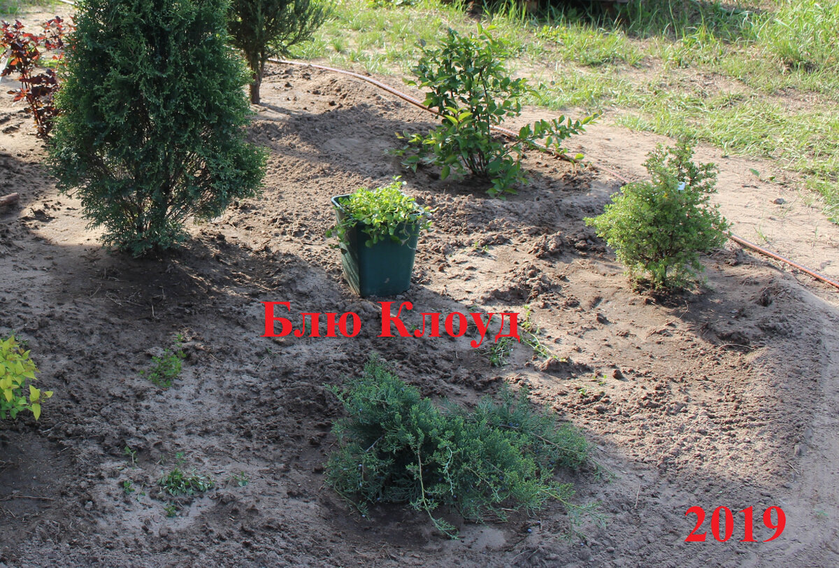 ширина по длинной стороне 80см