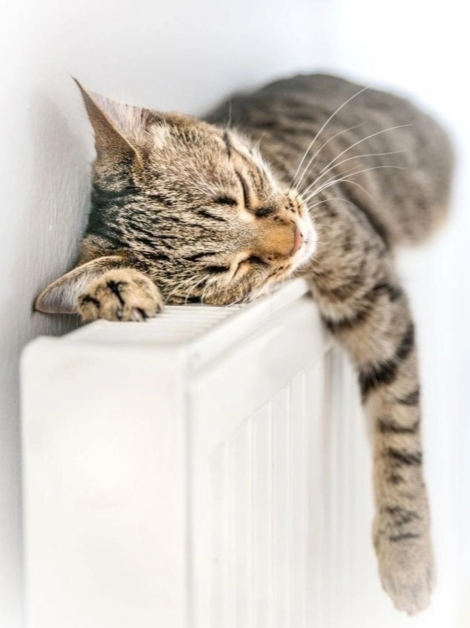 фото freepik - С любовью к каждому . Наташа Эльберг- более 24 лет непрерывно практикующий кризисный психолог, энергопсихолог , автор книг -бестселлеров , автор методики ментальной трансформации и коррекции любых жизненных ситуаций с помощью специальных энергопрактик