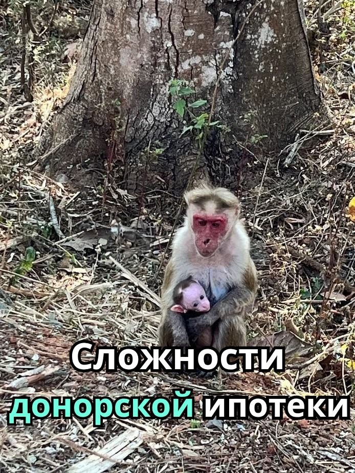 Личный архив