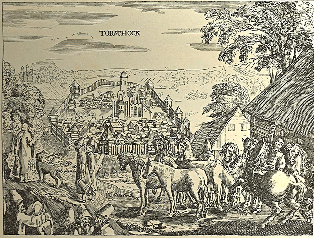 Во время наибольшего развития стена достигала 4 метров в высоту и 1400 метров в длину и содержала 11 башен: Спасскую надвратную, Глухую, Петровскую, Водяную, Угловую, Борисоглебскую, Тайницкую и другие. Площадь огороженной стеной территории — около 7 гектаров, на которых располагались: пороховой погреб, губная изба, земская губа, дворы стрелецкие, пушкарские и охотничьи, житницы и частные дома, например, дом князя, а также деревянная церковь, на месте которой в 1364 году построен каменный храм. Но при этом на территории кремля не было ни одного колодца, а источником воды служила протекающая у его стен Тверца.

Кремль находился на месте впадения в Тверцу ручья Здоровец, а с оставшейся стороны был прорыт ров с водой. На участке между деревянными укреплениями и рвом был насыпан земляной вал. Крепость охватывала 2 городища, известные под разными названиями — Новый Торг (от названия которого пошло название крепости — Новоторжская) и Торжок (по имени которого назван город).В период своего расцвета стена крепости достигала 4 метров в высоту и 1400 метров в длину, а её укрепления включали 11 башен: Спасскую надвратную, Глухую, Петровскую, Водяную, Угловую, Борисоглебскую, Тайницкую и другие. 
Общая площадь территории, окружённой стеной, составляла около 7 гектаров. На этом пространстве размещались разнообразные здания и сооружения: пороховой погреб, губная изба, земская губа, стрелецкие, пушкарские и охотничьи дворы, житницы и частные дома, включая княжеский. Также на территории находилась деревянная церковь, на месте которой в 1364 году был возведён каменный храм.

Однако стоит отметить, что на территории кремля не было ни одного колодца. Единственным источником воды служила река Тверца, протекающая у его стен.

Кремль находился в месте впадения в Тверцу ручья Здоровец, а с оставшейся стороны был вырыт глубокий ров, заполненный водой. Между деревянными укреплениями и рвом был насыпан земляной вал.

Крепость объединяла два городища, известных под разными названиями: Новый Т