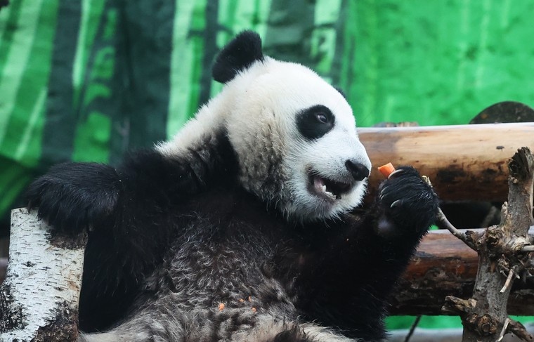    Алексей Белкин/NEWS.ru