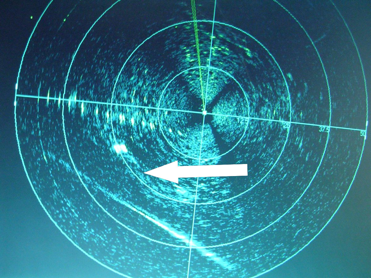    Невидимые враги: как квантовый радар «Луч-3» меняет правила игры